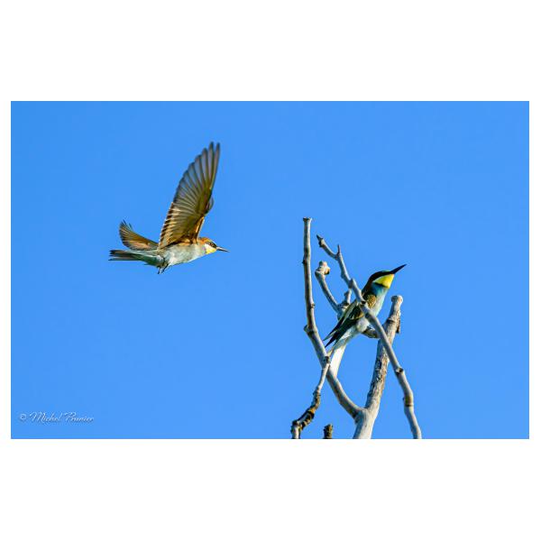 PHOTO84, CLUB, 84 , LUBERON